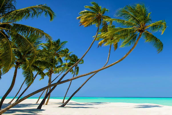Scenic Maldives